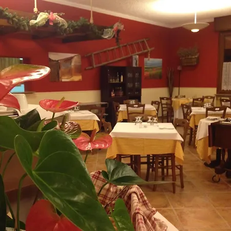 Hotel Hotel Korallo Borno